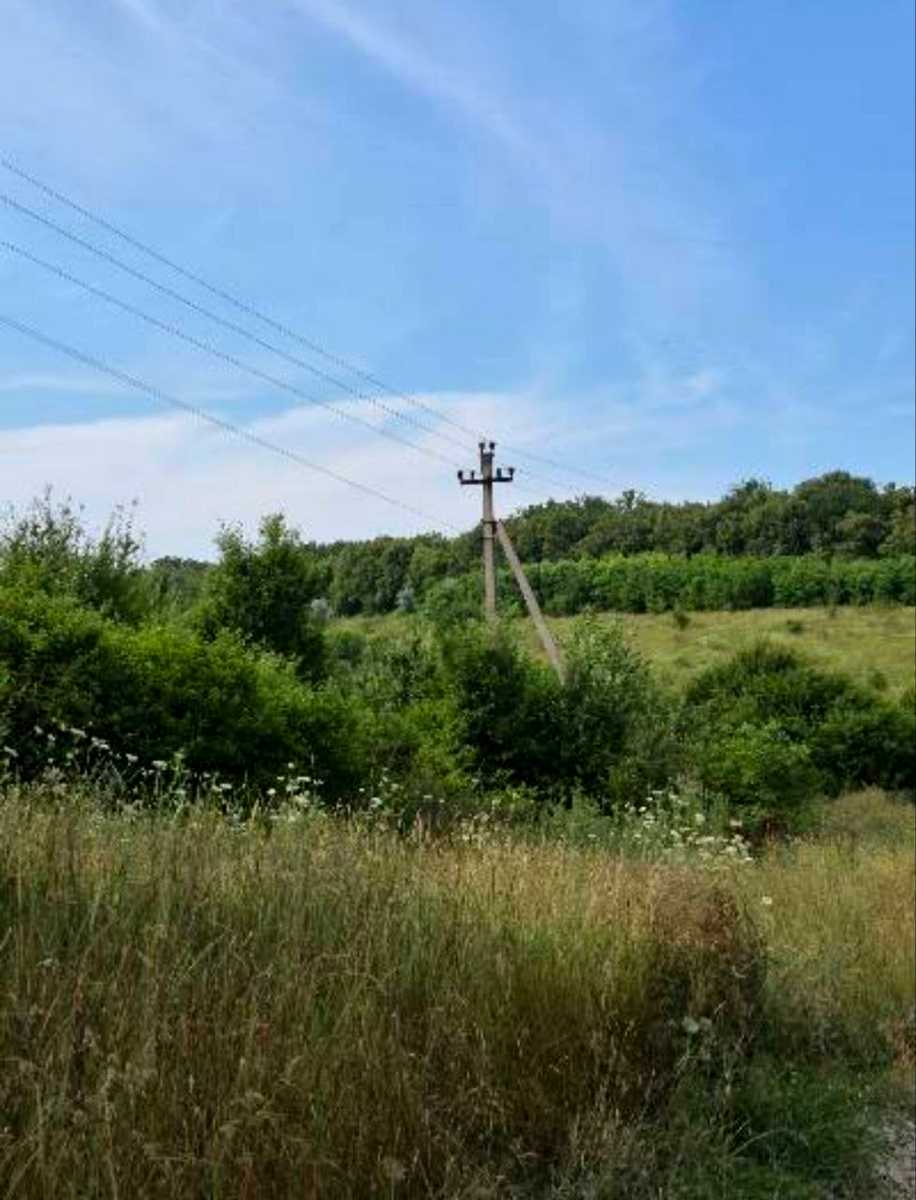 1873142314802037