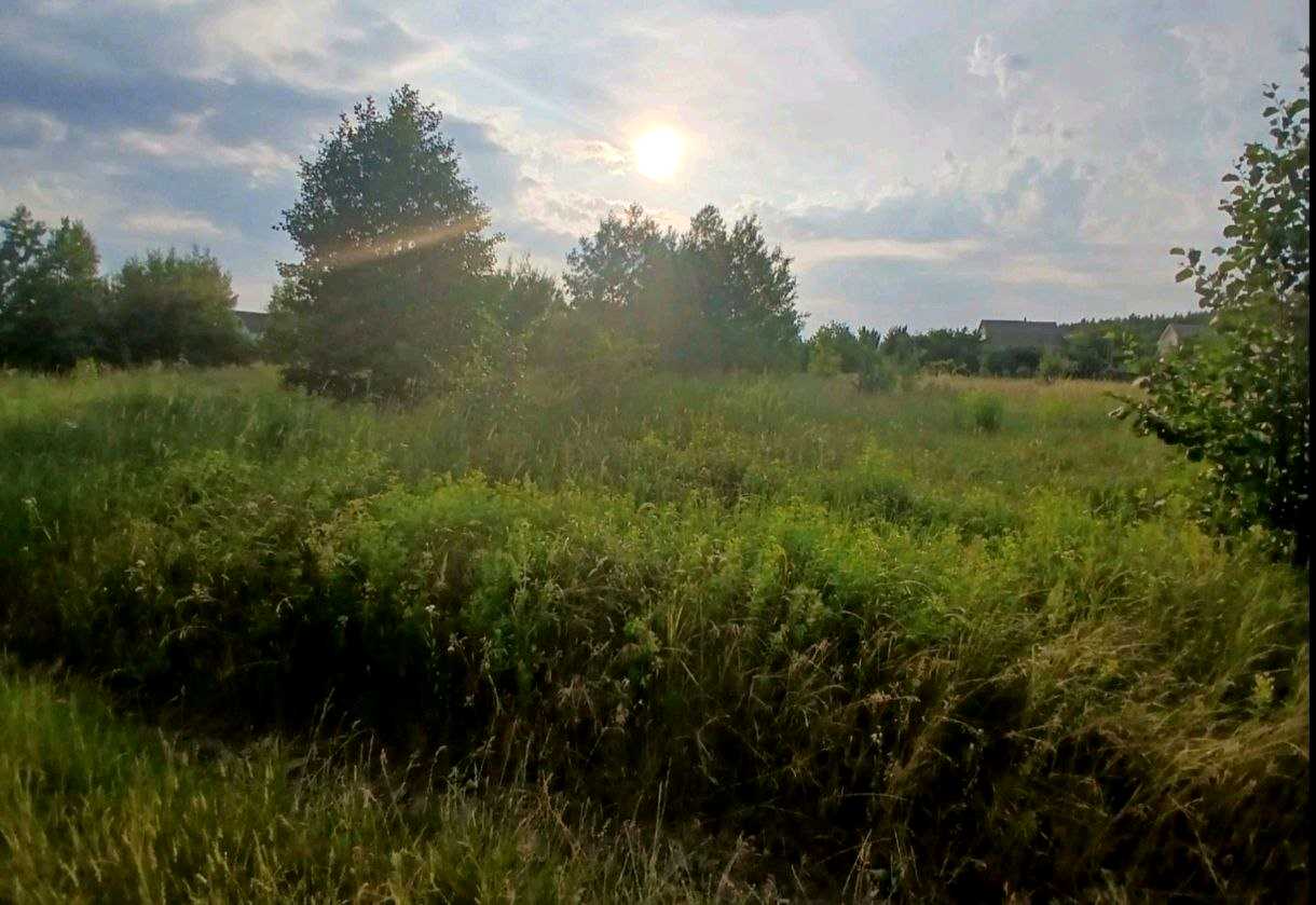 1873159805184389