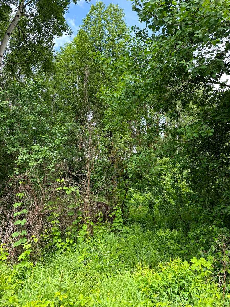 1873161188215505