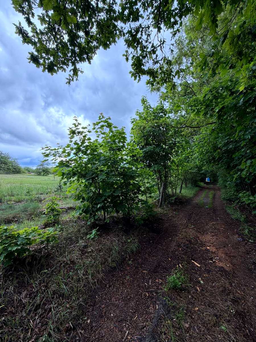 1873162518354742
