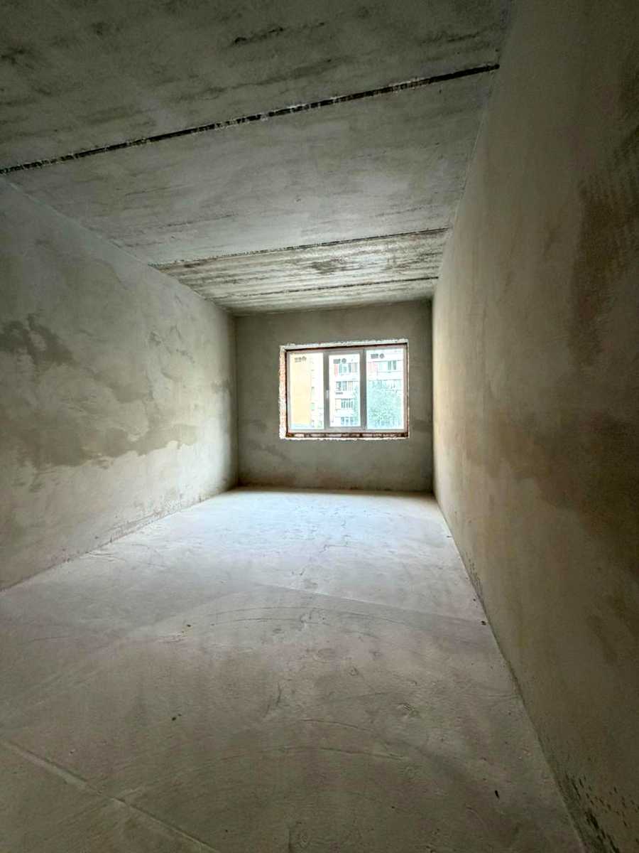 1873207323541331