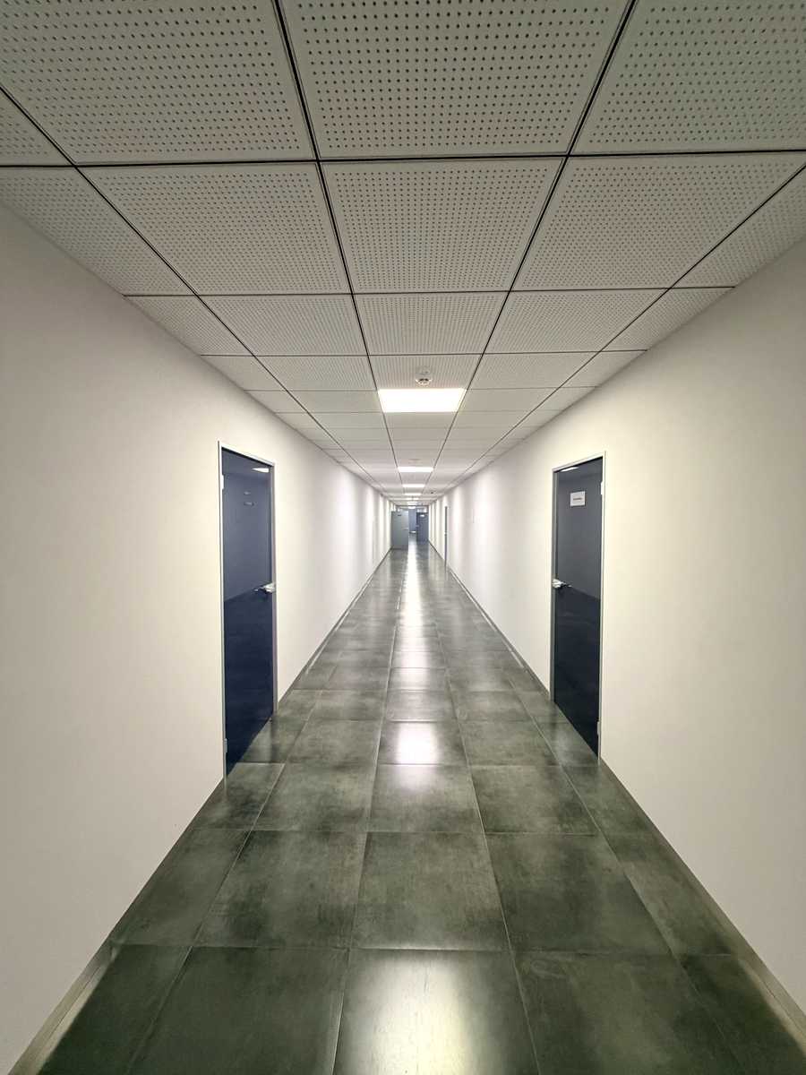 1873222660187725