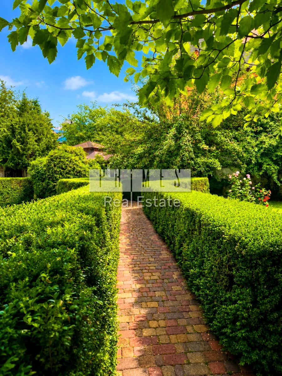 1873224269463233