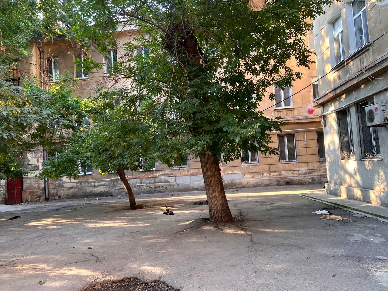 2-кімнатна квартира за адресою вул. Чорноморського Козацтва (площа 52,5 м²) - фото 9 2-кімнатна квартира за адресою вул. Чорноморського Козацтва (площа 52,5 м²) - Atlanta.ua - фото 9