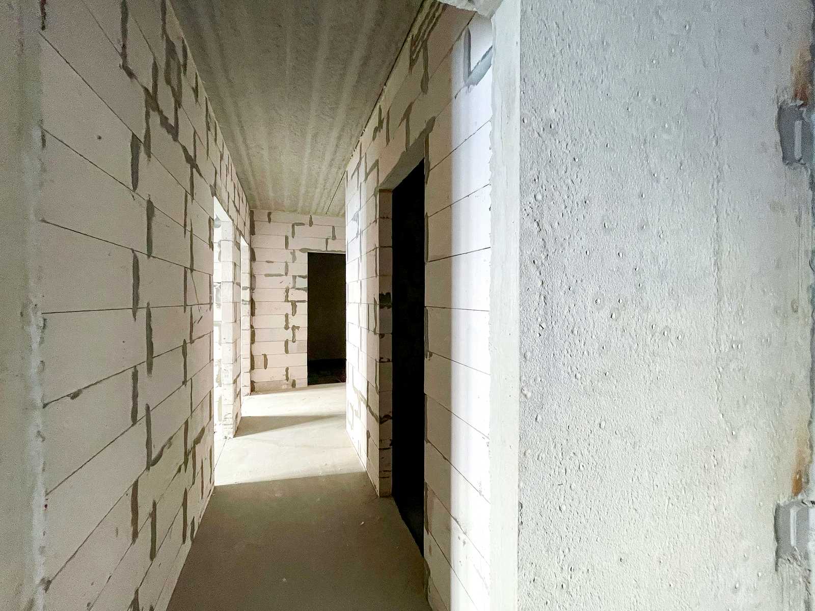 1873269889332288