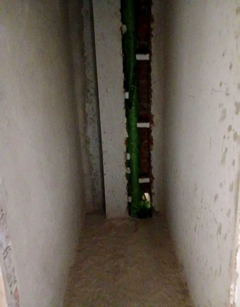 1873309263367918