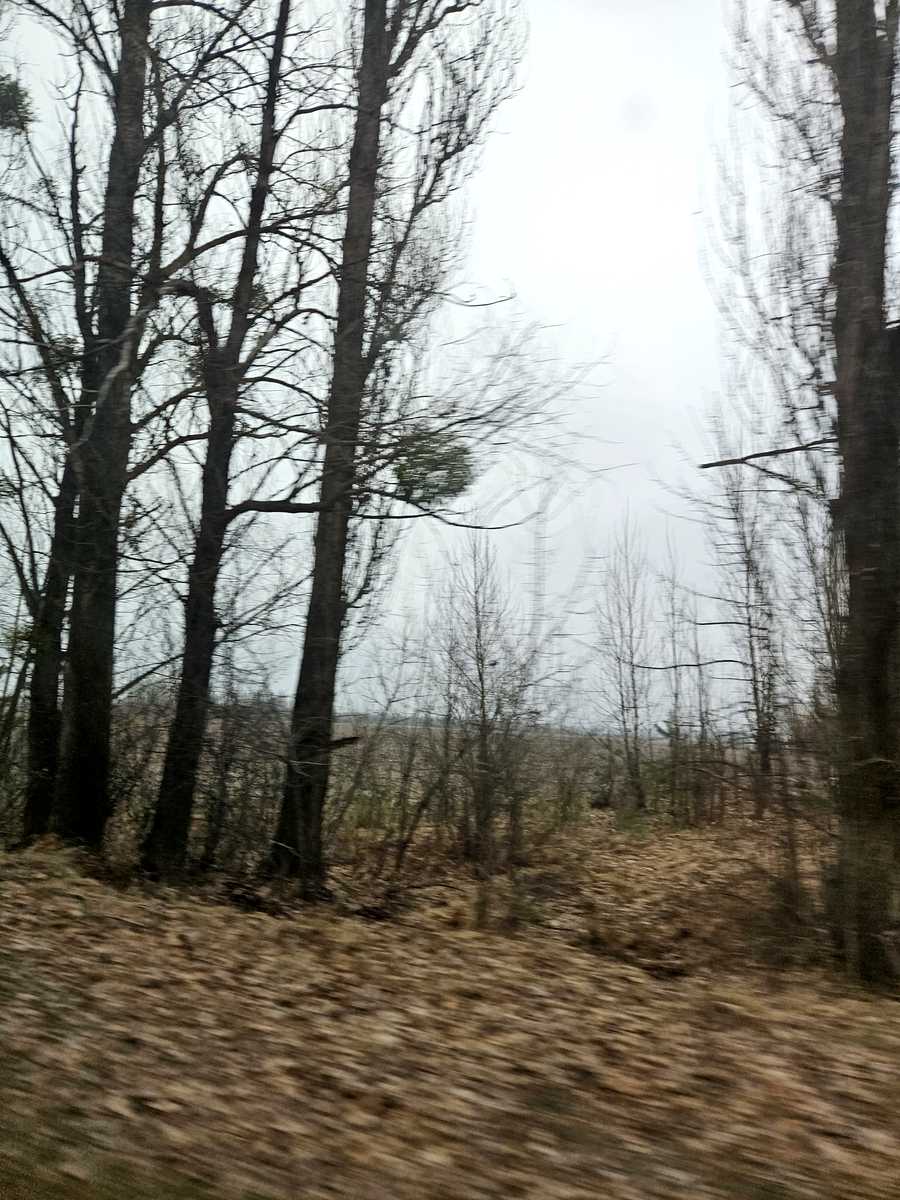 1873320299888821