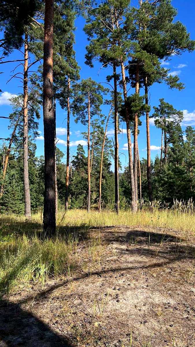 1873325997201536