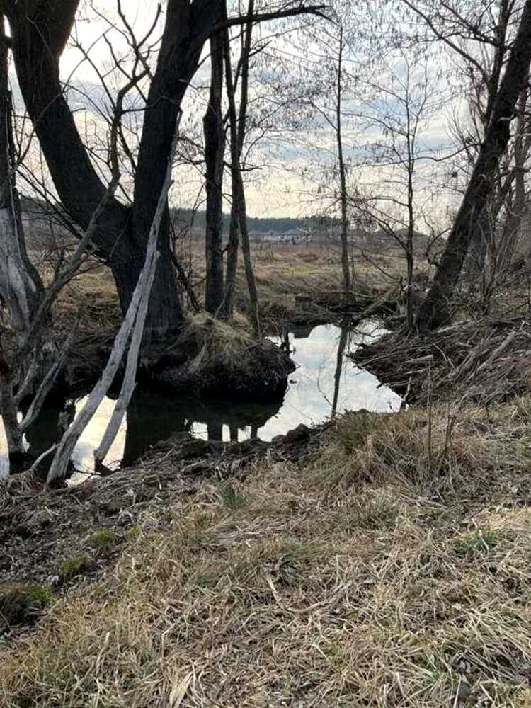 1873333106373781