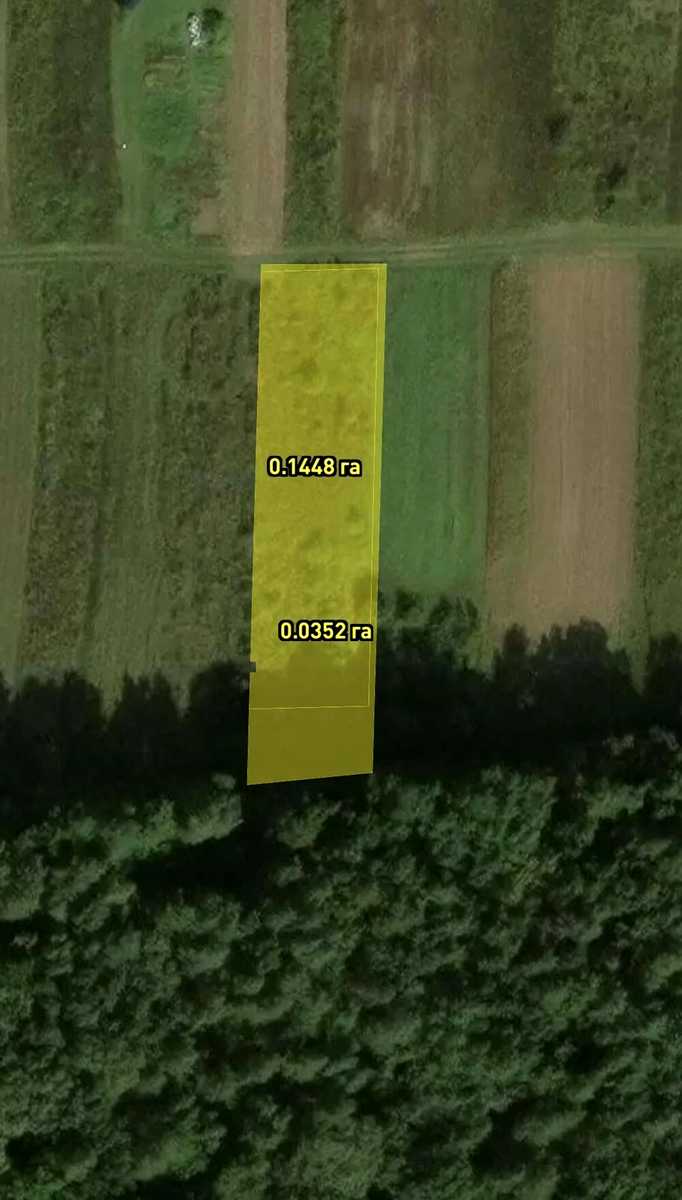 1873339716682303.jpg