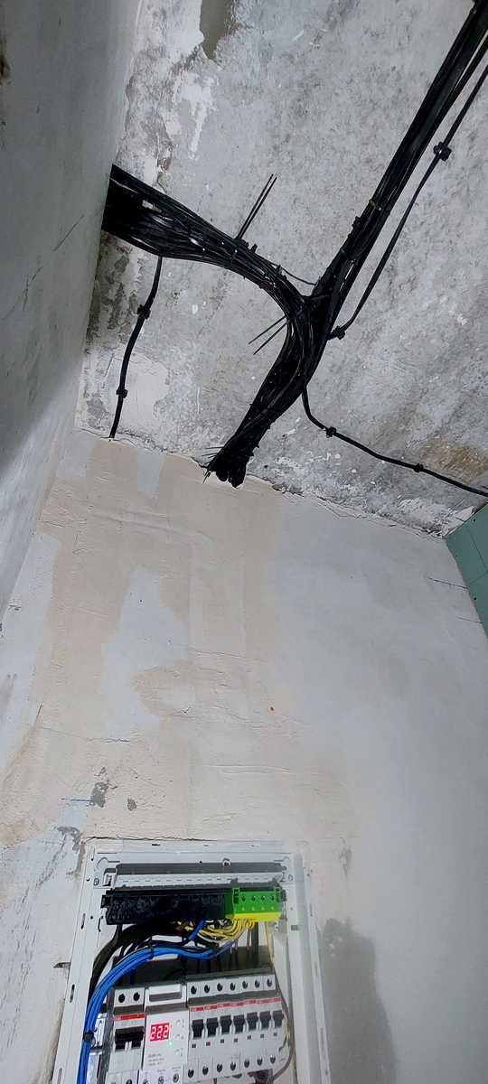 1873410530364730