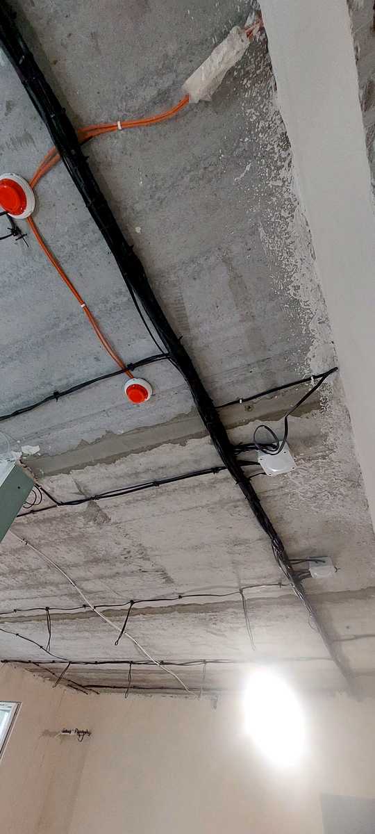 1873410531403759