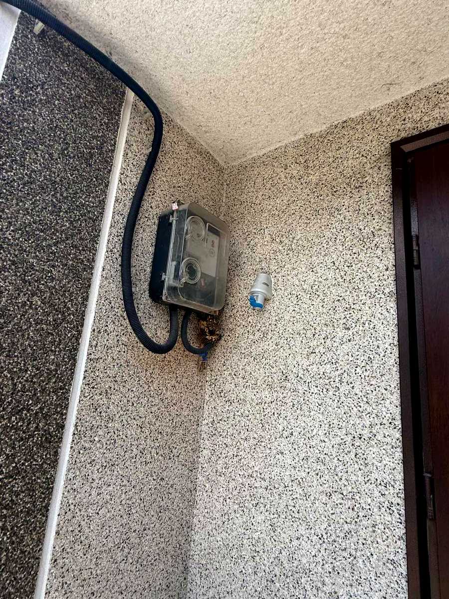 1873422765005617