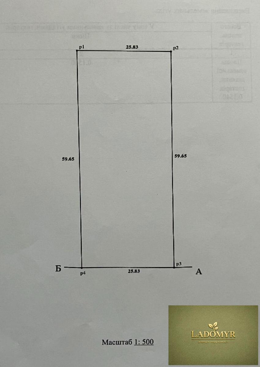 1873474702704582.jpg
