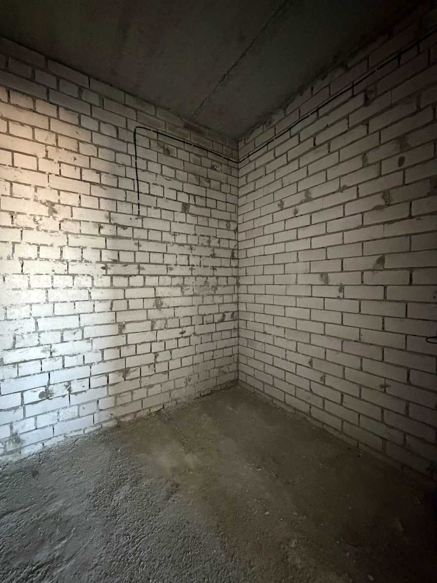 1873475165575654