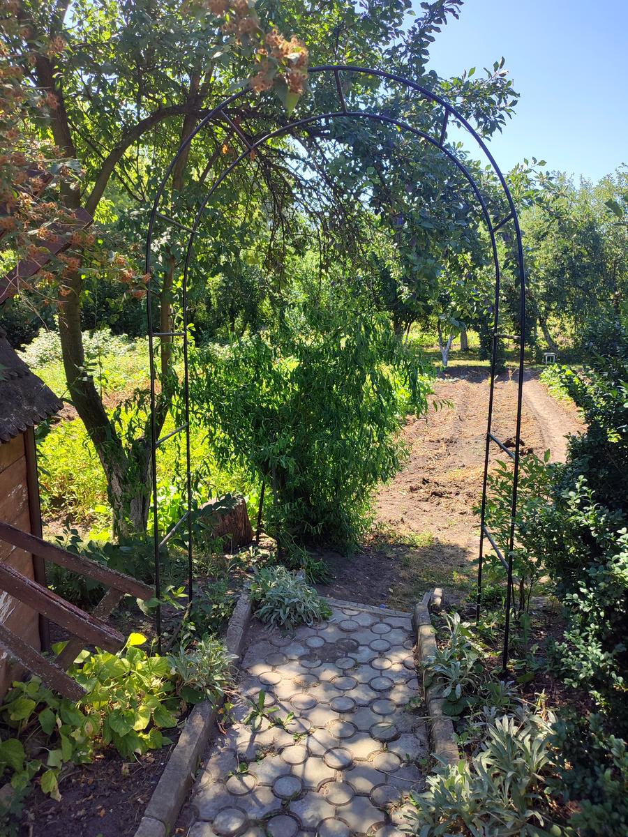 1873484229542668