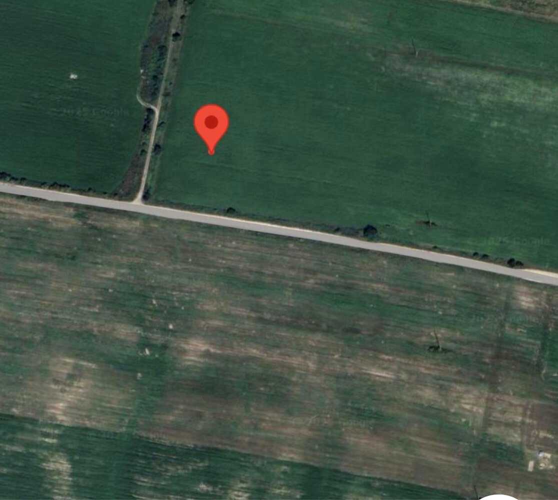 1873492512484445.jpg