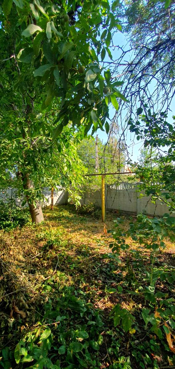 1873498731450288
