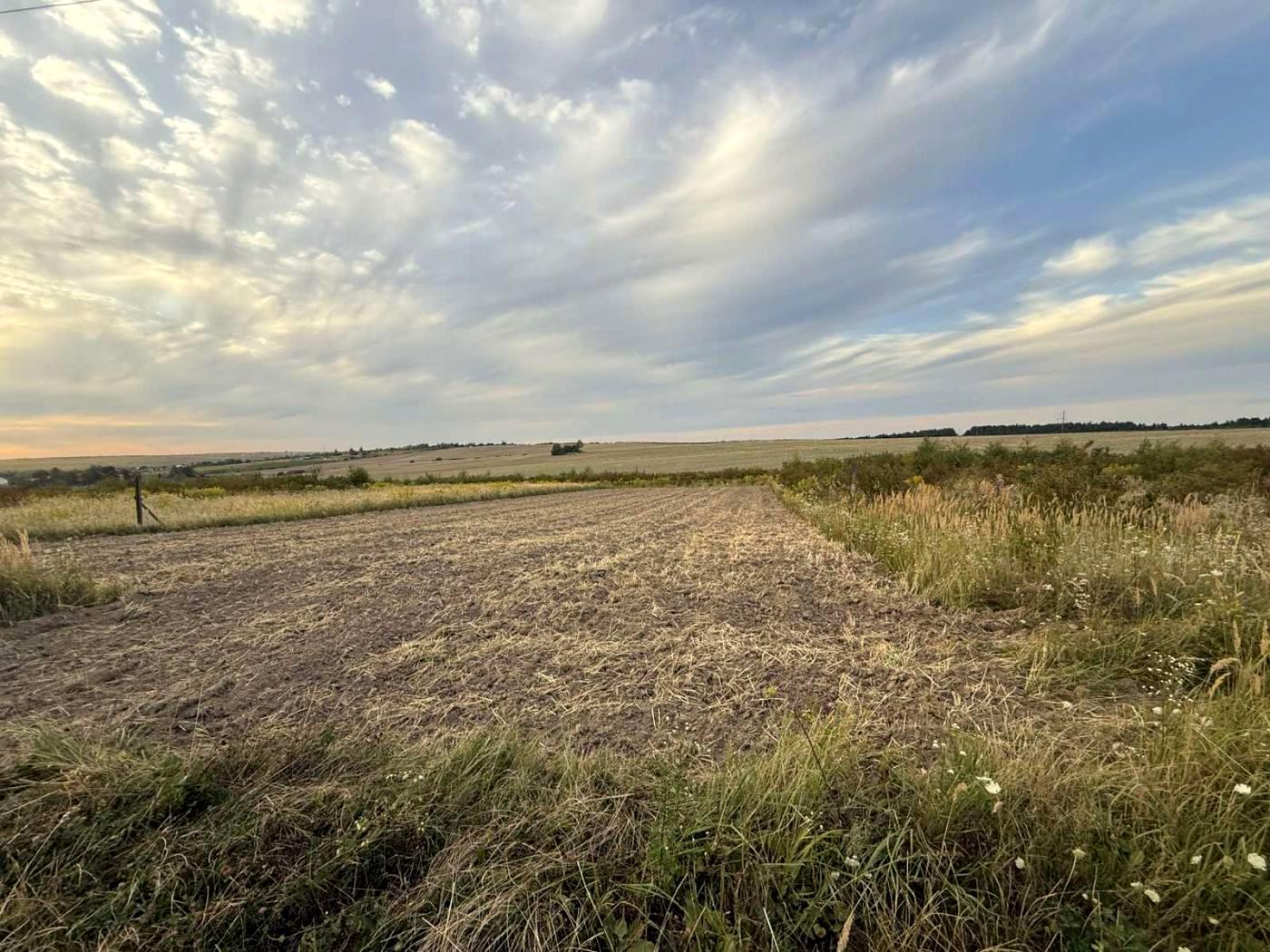 1873505369350069