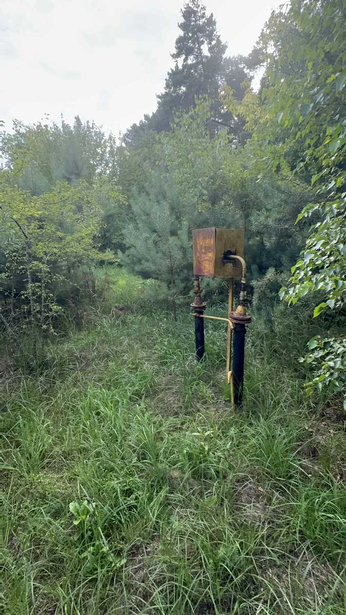 1873507423335174