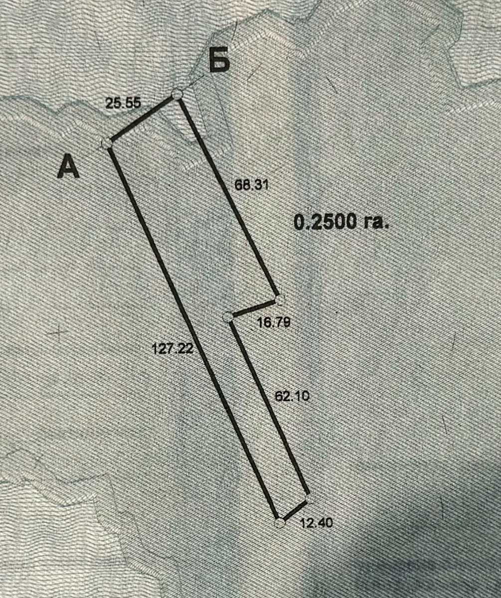 1873507423874878