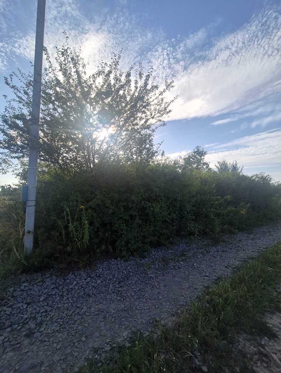 1873569644352866