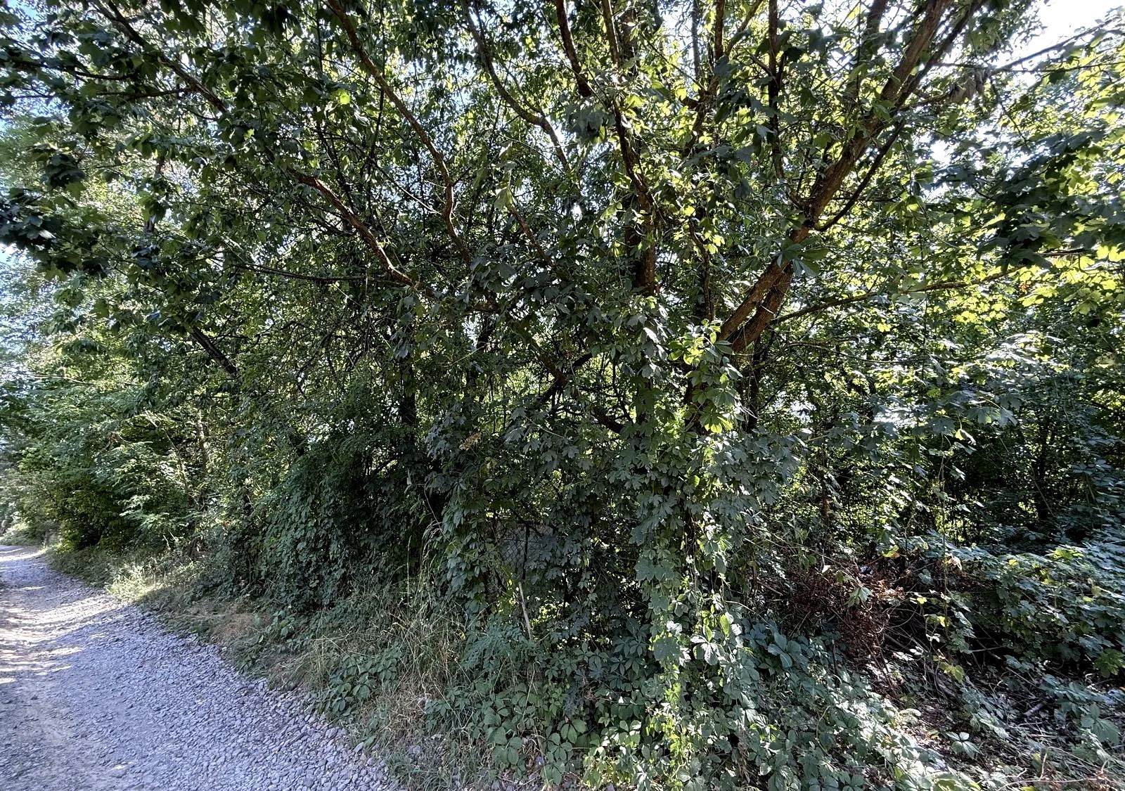 1873607030151902