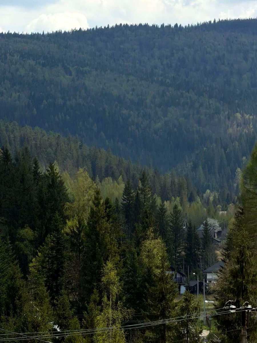 1873764437614842