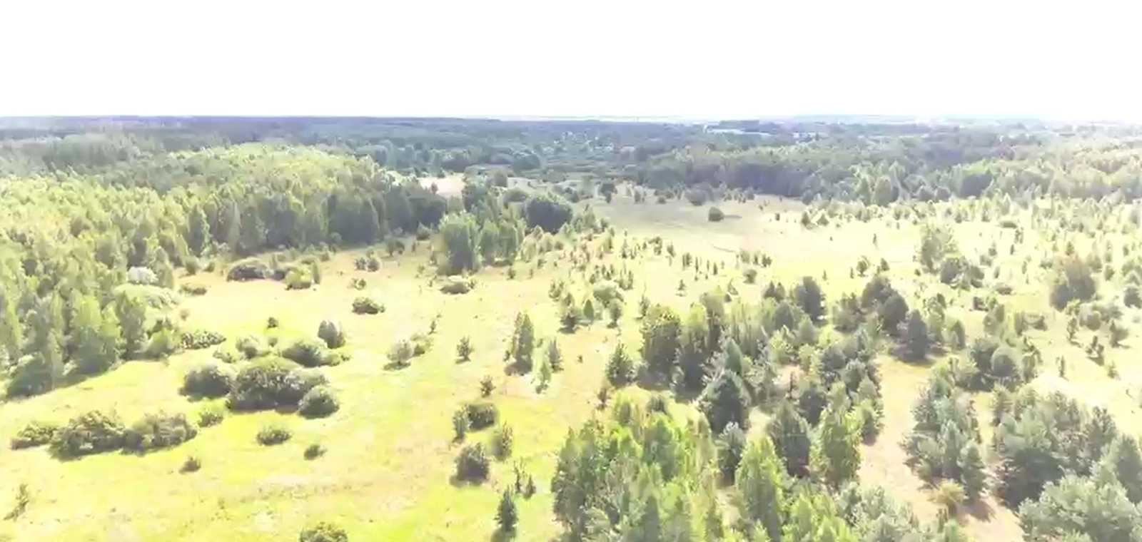 1873767886118455