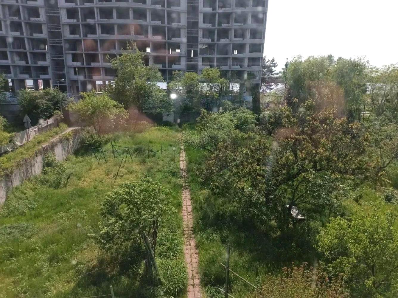 1873777478449339