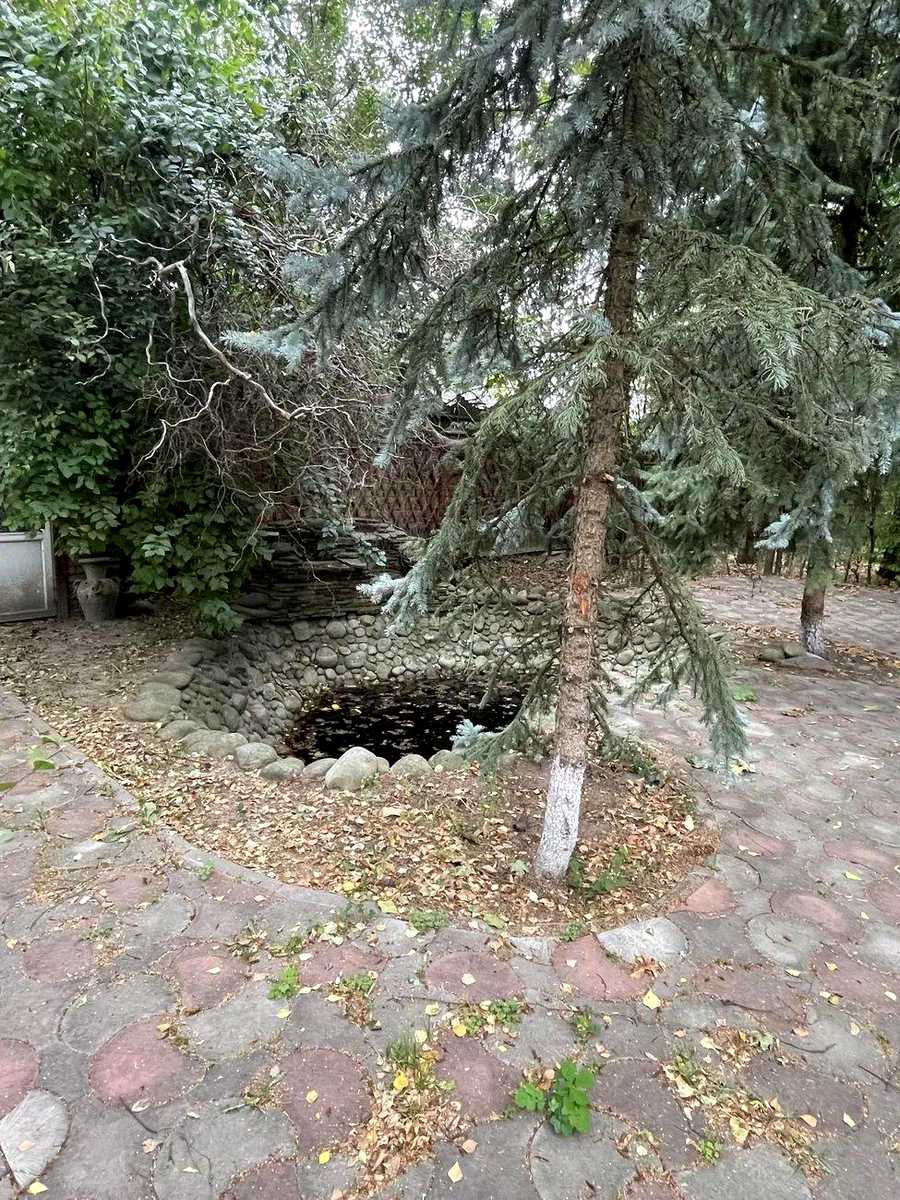 1873778615948203