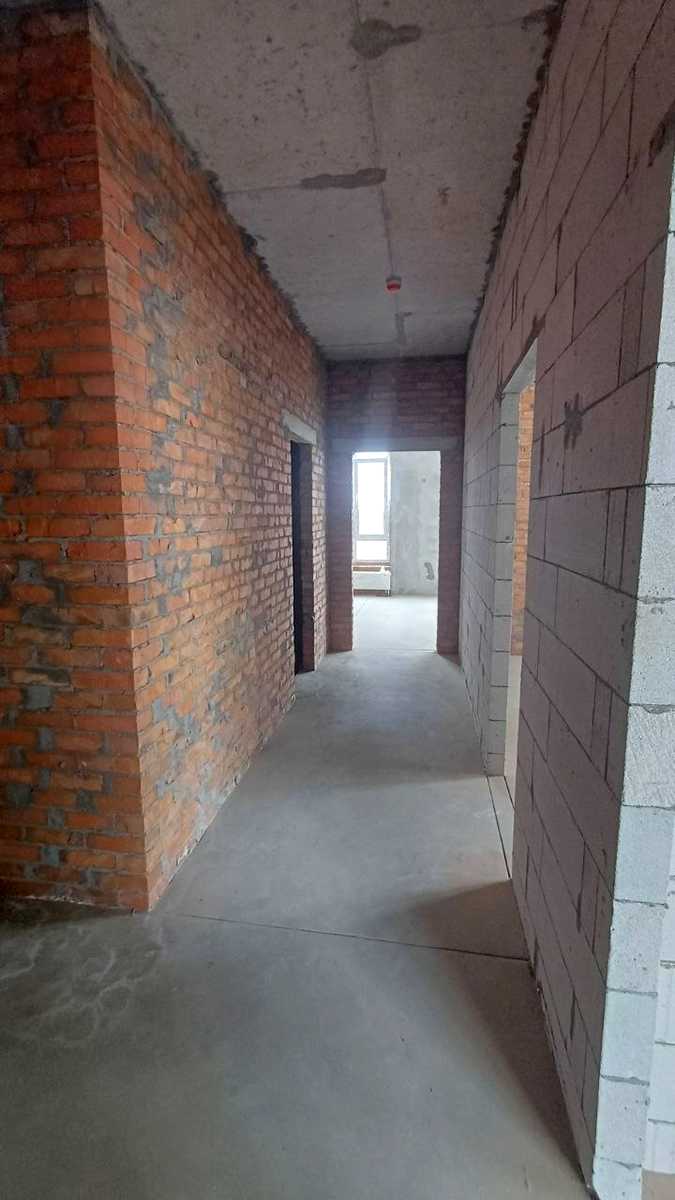 1873795025311138