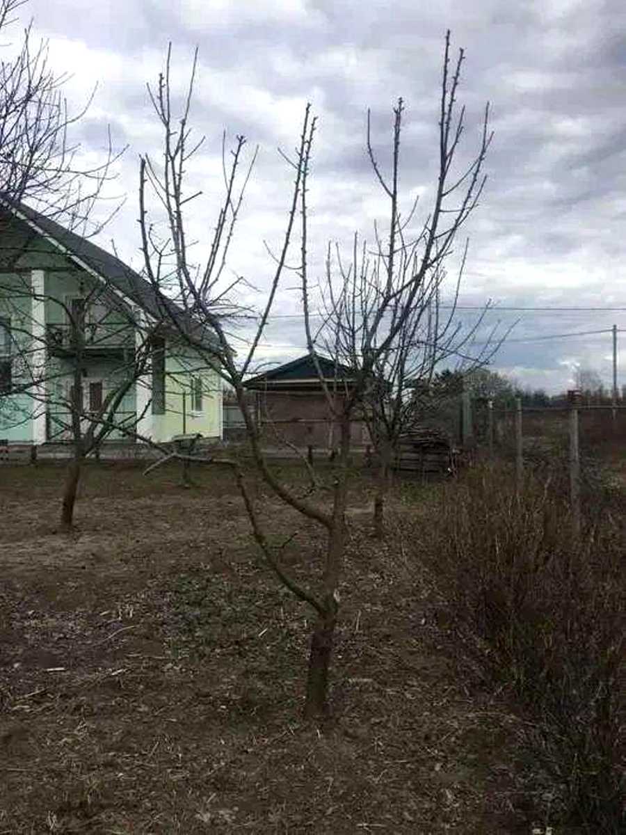 1873804858937850