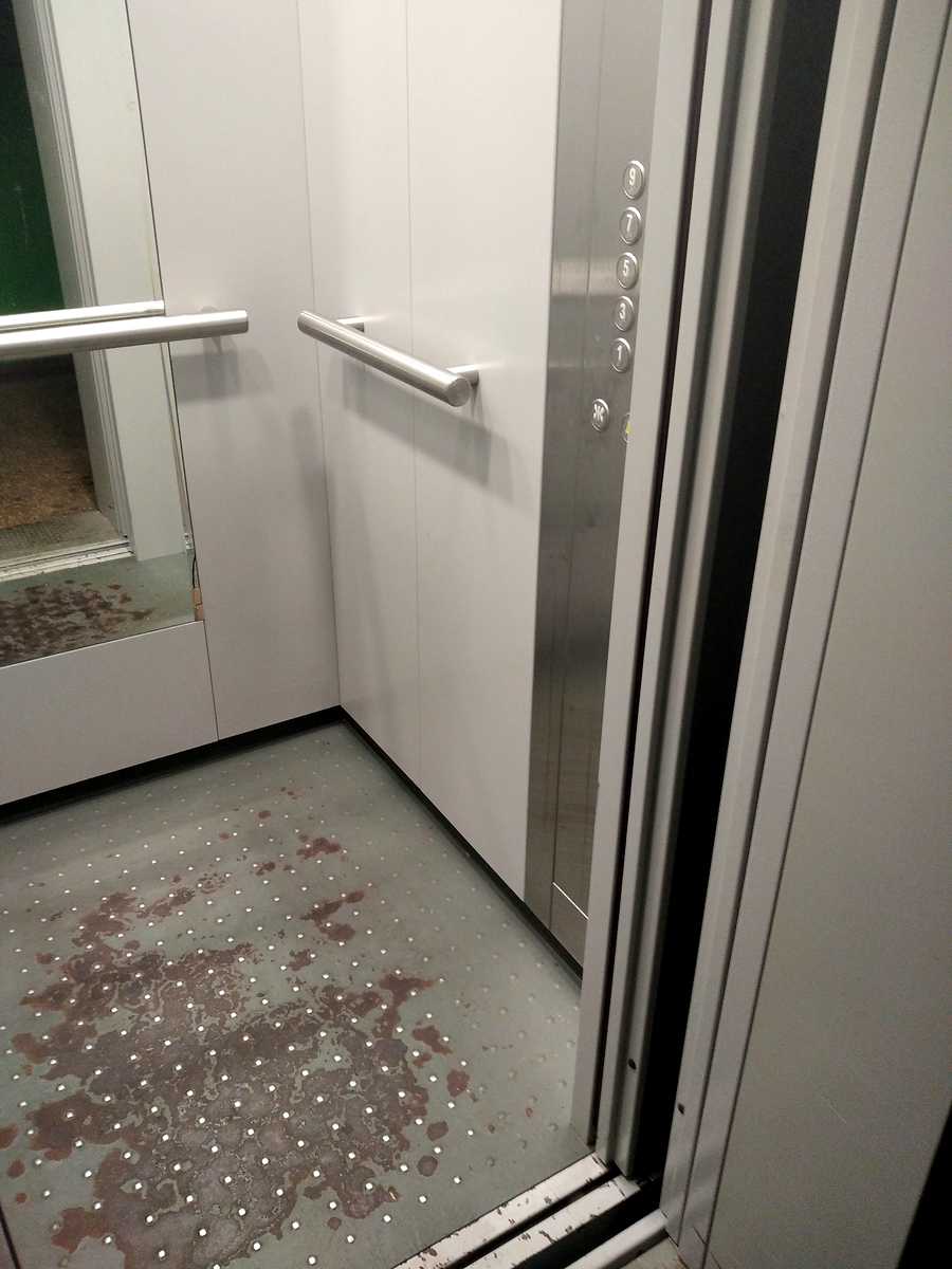 1873848898514750