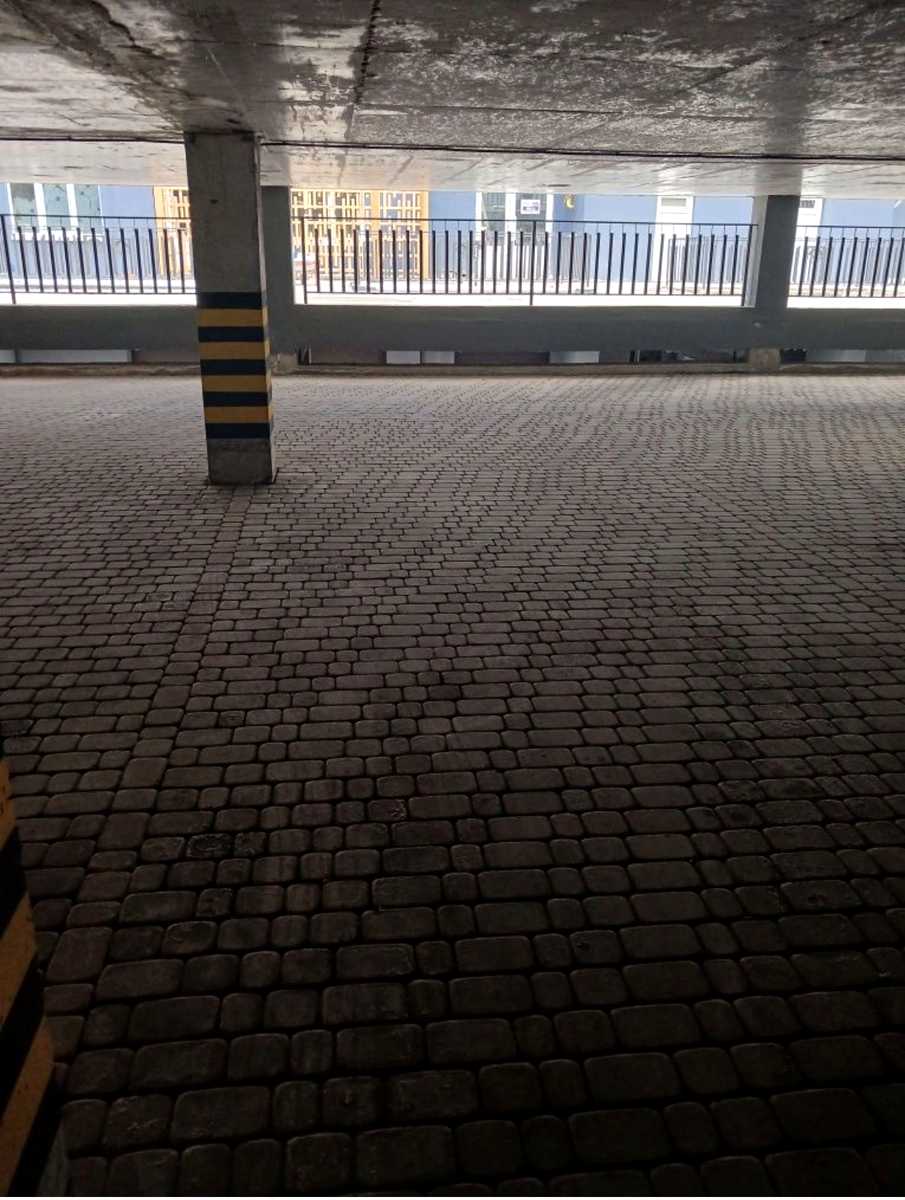 1873851332777834