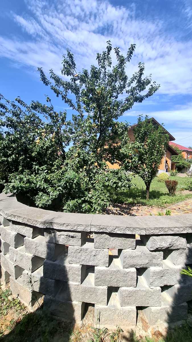 1873853692403201