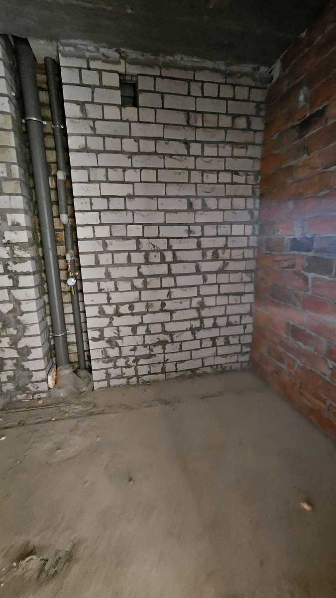 1873857423685555