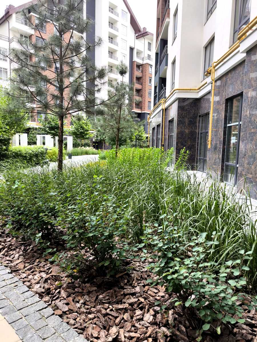 1873858386837424
