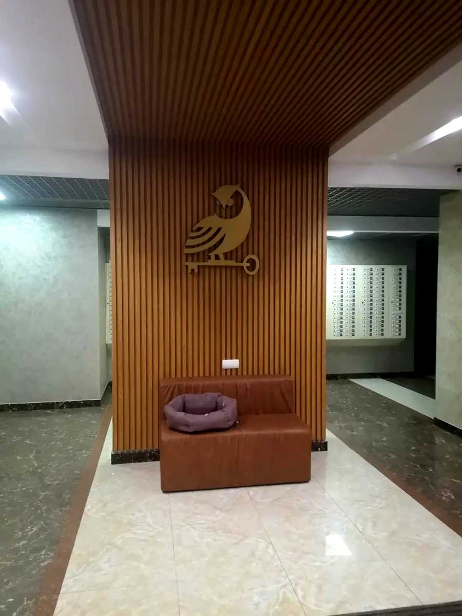 1873862426584668