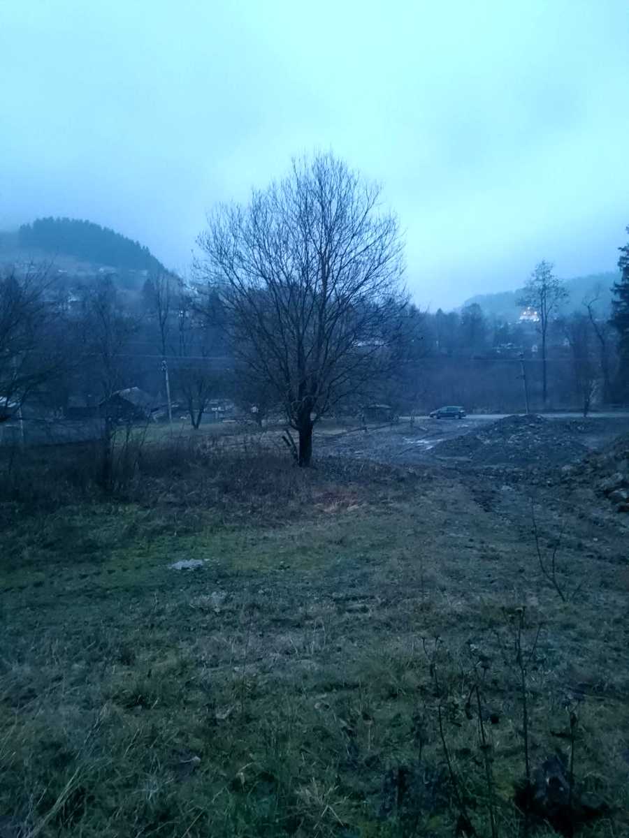 1873948039386786