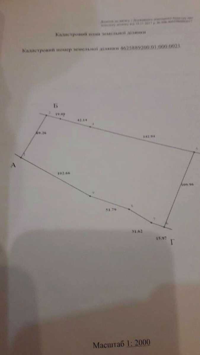 1873958799504237.jpg