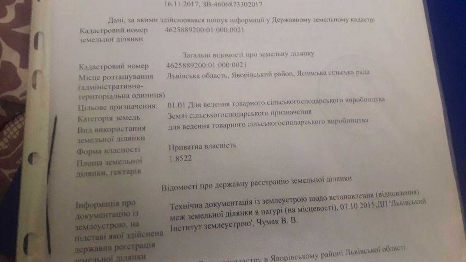 1873958800262652.jpg