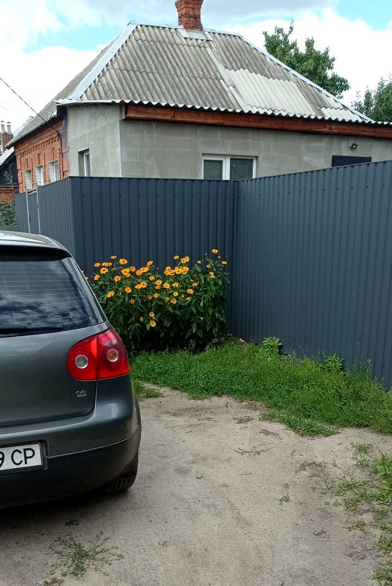 1873986311769006