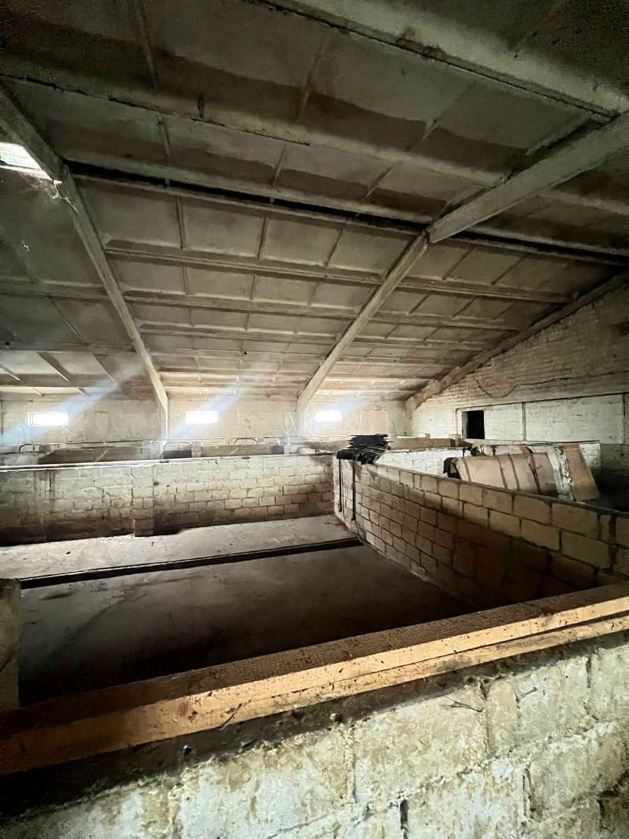 1874034856866508