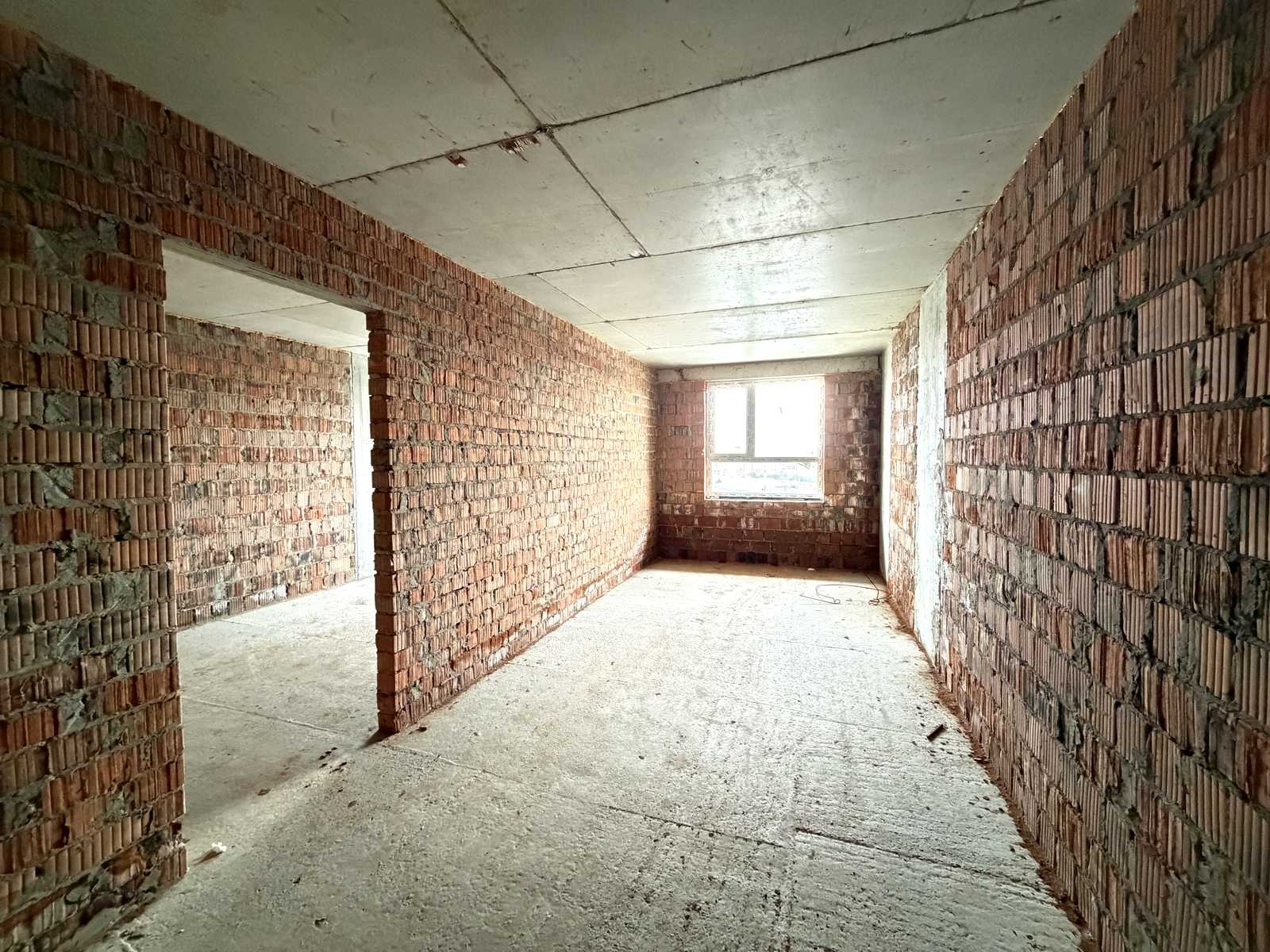 1874039719215956