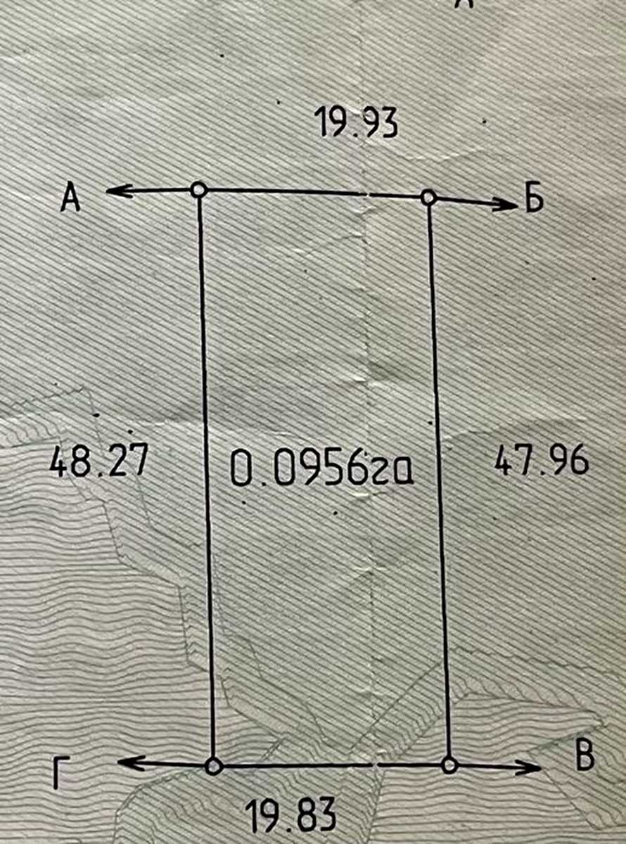 1874052864404843.jpg