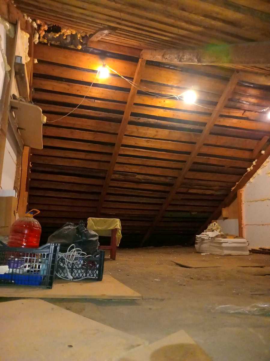 1874053784891267