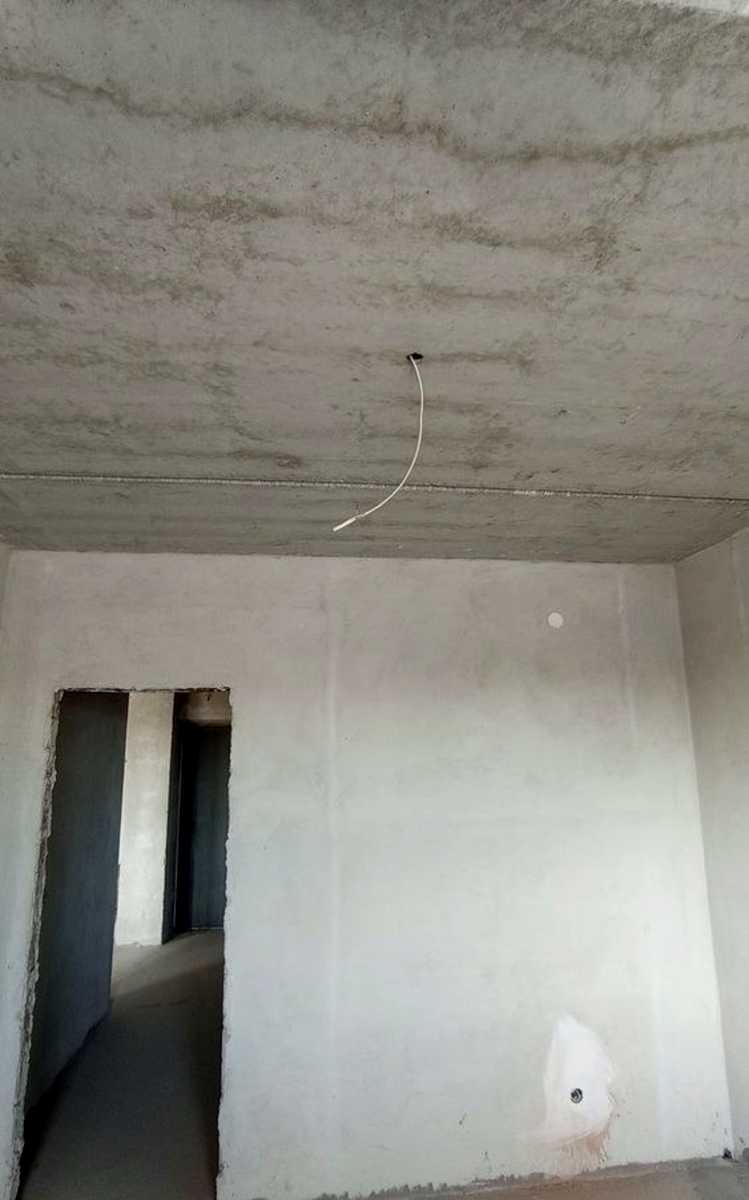1874123048557117