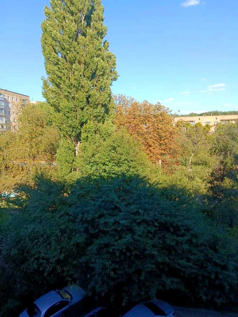 1874127042607957