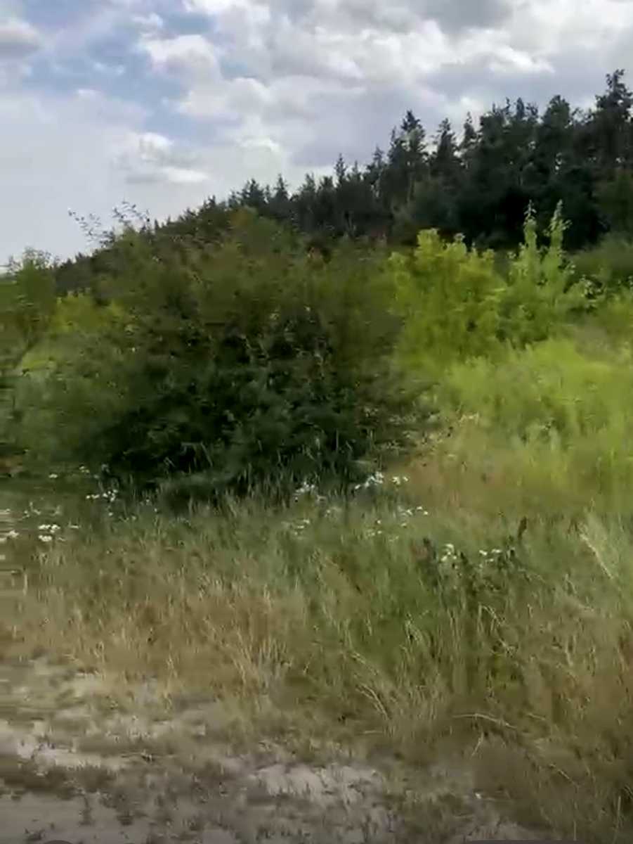 1874131856336763